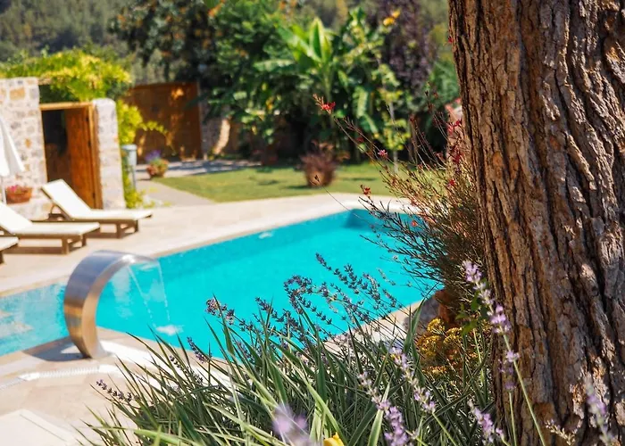 Apsara - Secluded Oasis - Big Pool - Amazing Views Villa *